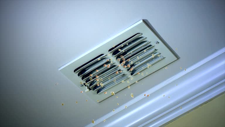 Best HVAC Air Duct Cleaning  in Davison, MI