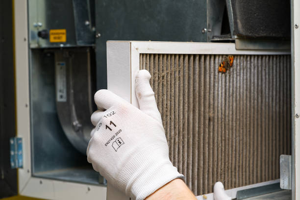 Best Air Duct Cleaning Near Me  in Davison, MI