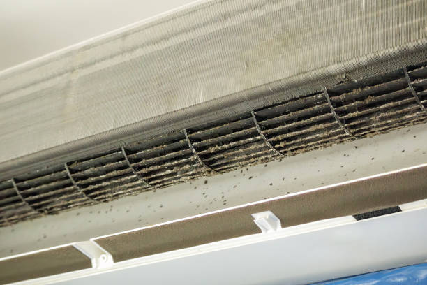 HVAC System Cleaning in Davison, MI
